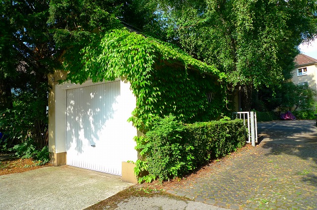 c0153740_3472479.jpg