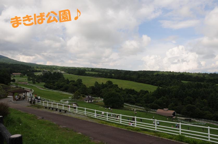 c0147241_719168.jpg