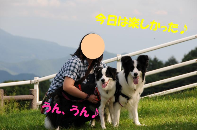 c0147241_7202663.jpg