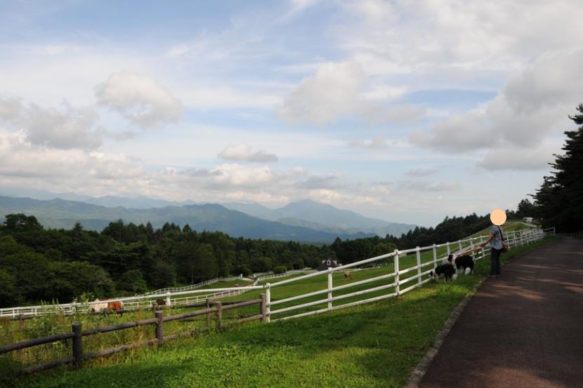 c0147241_7203379.jpg