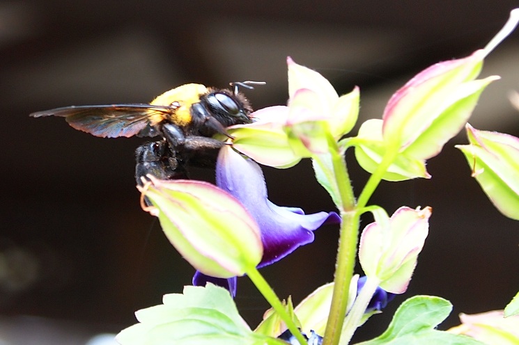 a0146442_7404575.jpg