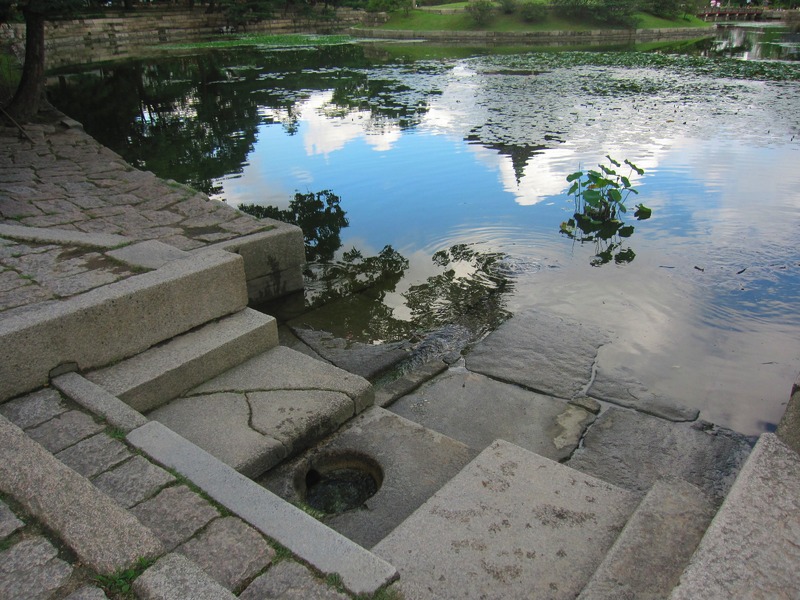 d0183544_5574362.jpg