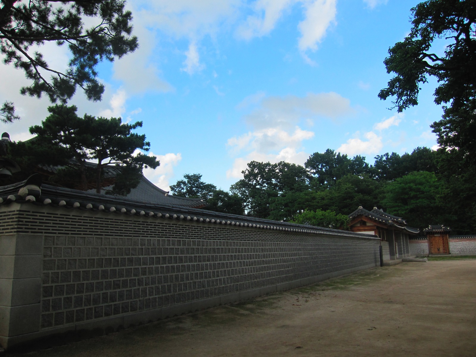 d0183544_558941.jpg