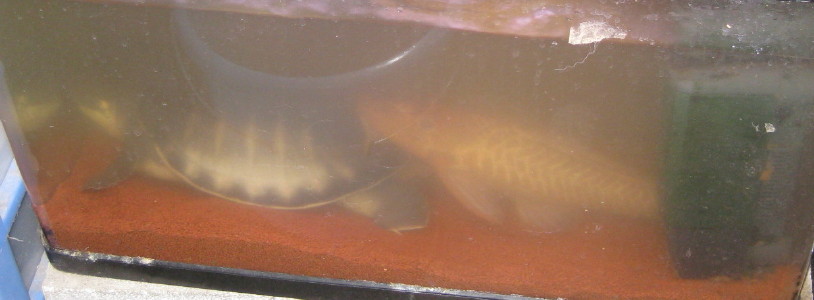 e0121548_20343397.jpg