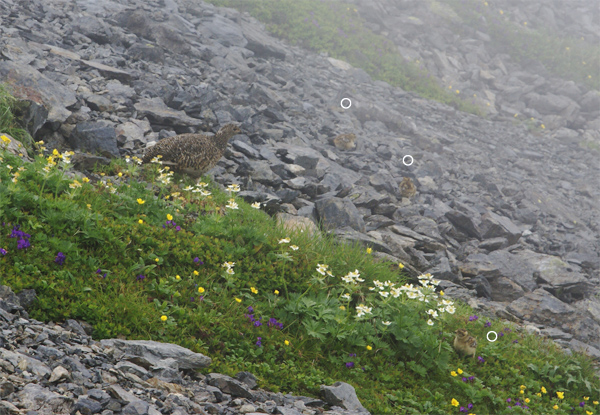 f0214649_5151739.jpg