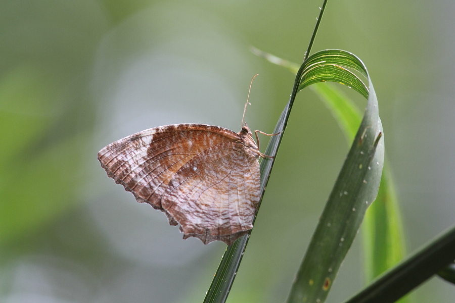a0094850_814466.jpg