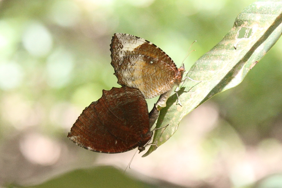 a0094850_82041.jpg