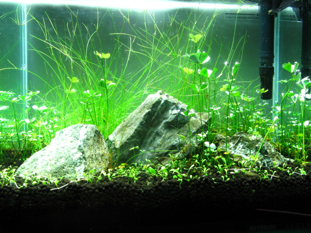 f0198950_22293251.jpg