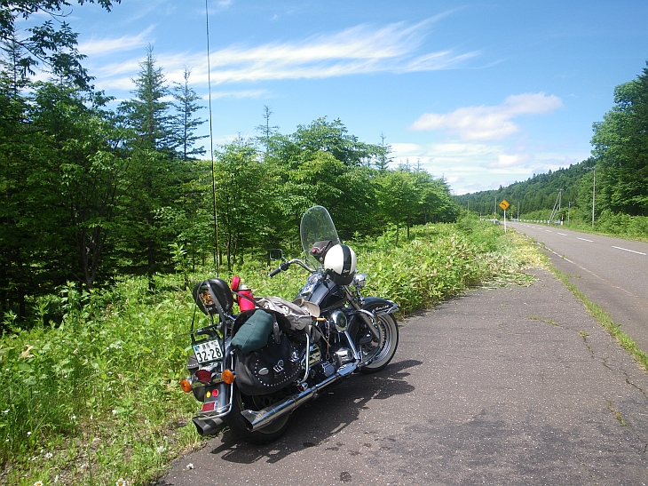 c0060452_2221362.jpg
