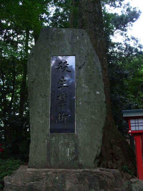 f0203260_23454030.jpg