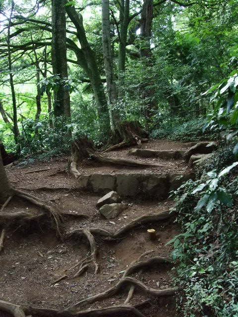 f0203260_23493039.jpg