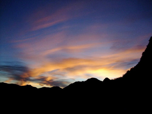 b0050067_08722.jpg