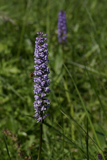 e0054067_237854.jpg