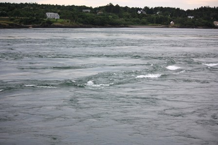 a0100975_13593190.jpg