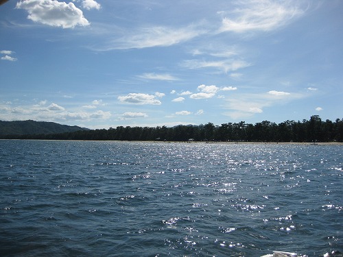 b0003280_035593.jpg