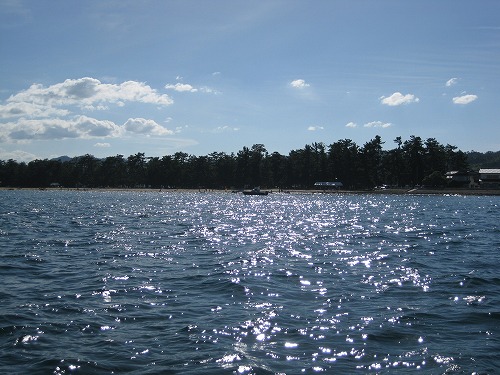 b0003280_036583.jpg