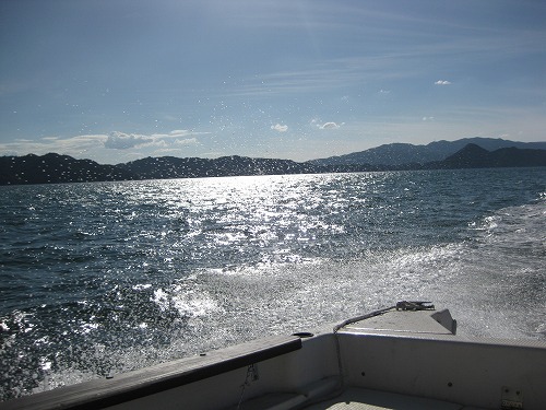 b0003280_0374882.jpg