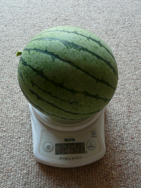 e0145782_15164959.jpg