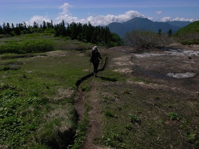 e0129083_20281049.jpg