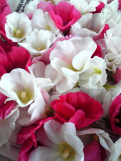 b0080090_15514950.jpg