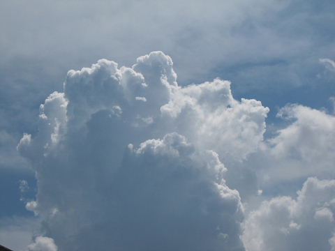 b0104592_16142275.jpg