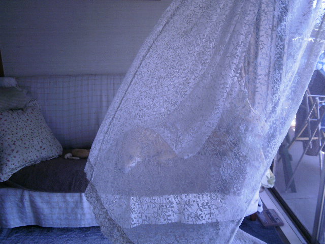 a0053598_220255.jpg