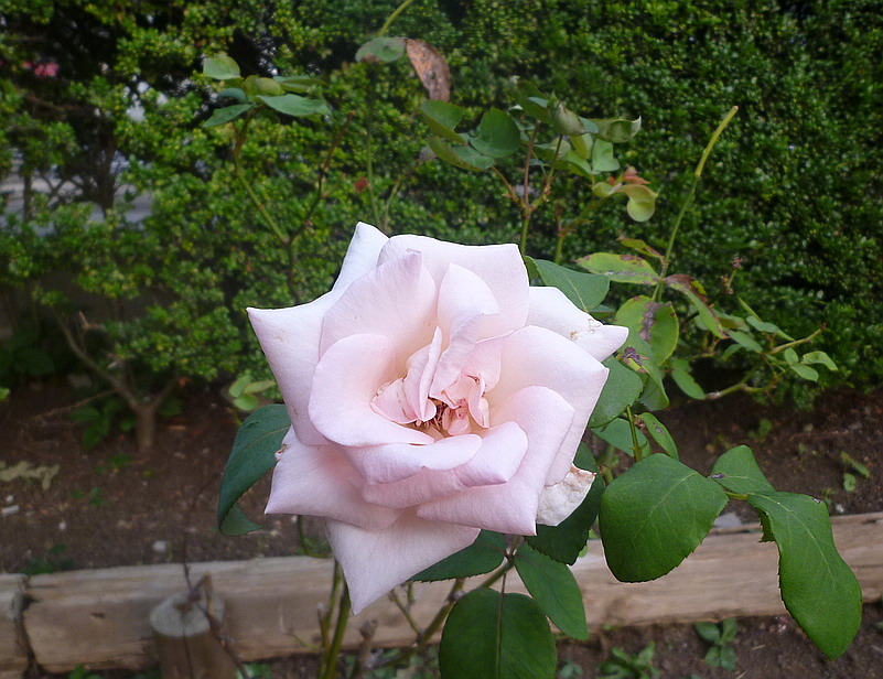 c0138198_21412843.jpg