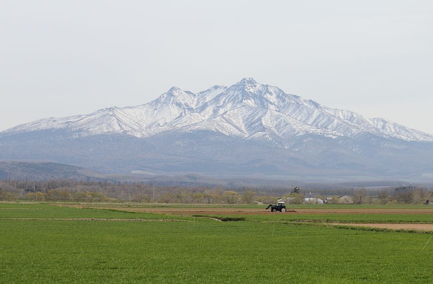 c0155902_231430.jpg