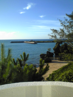 f0154002_23383938.jpg