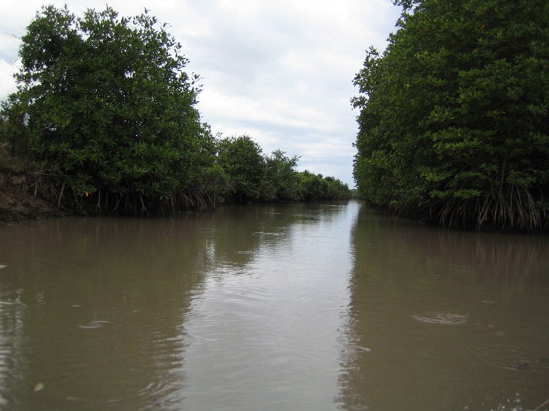 e0147206_2241293.jpg