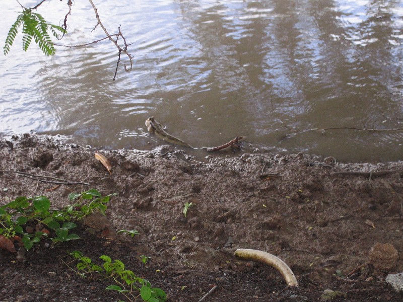e0147206_230377.jpg