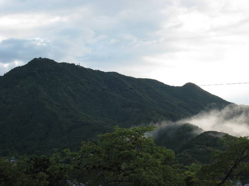 d0154609_114436.jpg