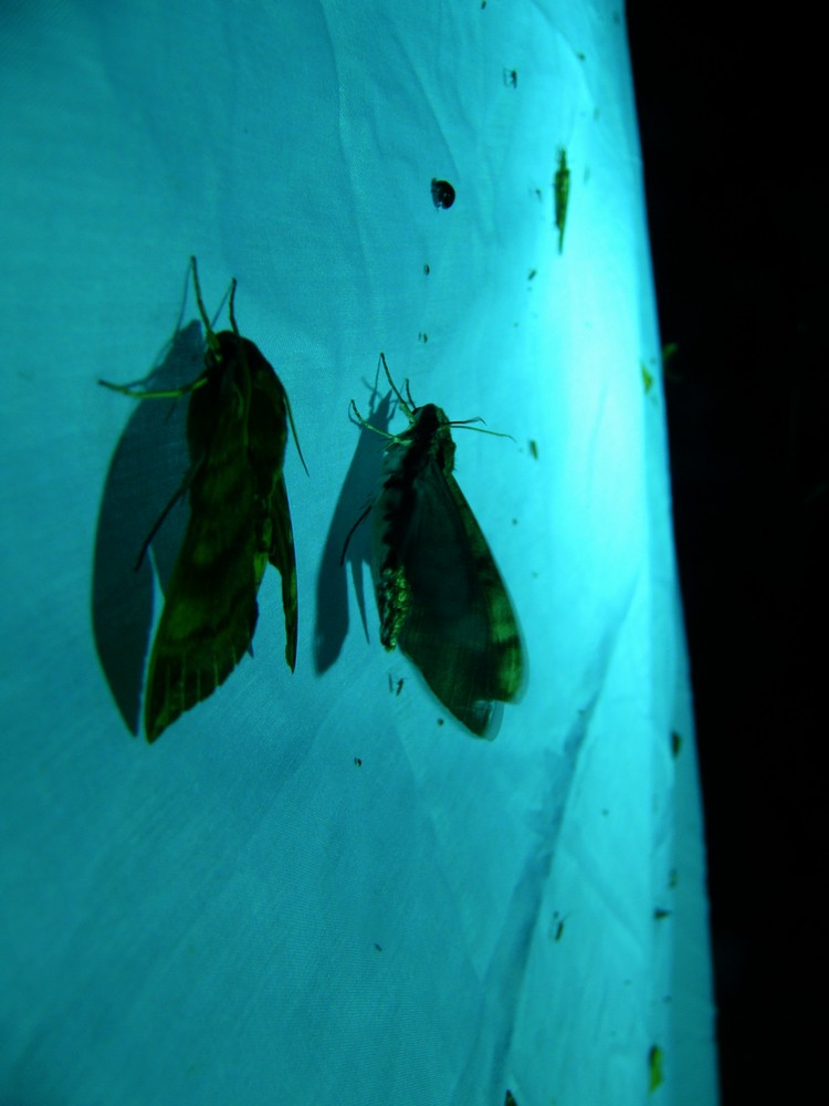 c0062511_013152.jpg