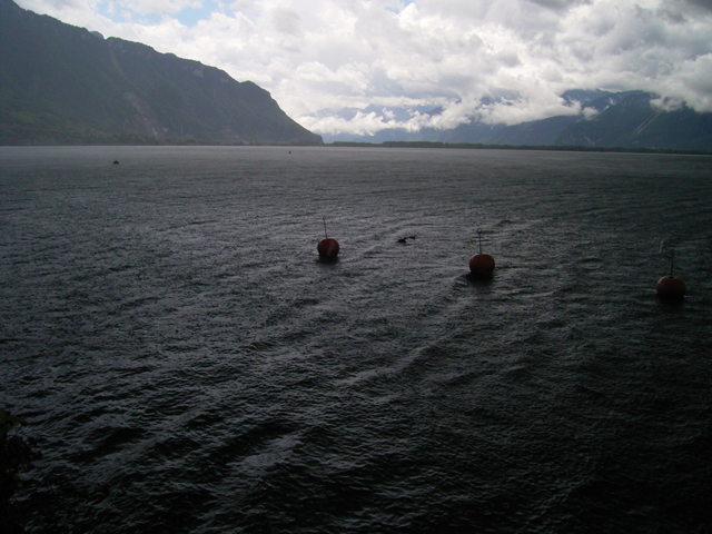 a0030714_622265.jpg