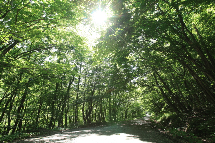 e0121814_16331194.jpg