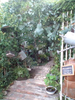 c0140516_10591576.jpg