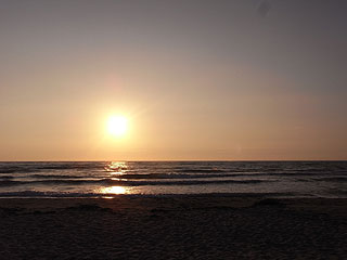 f0226817_12345192.jpg