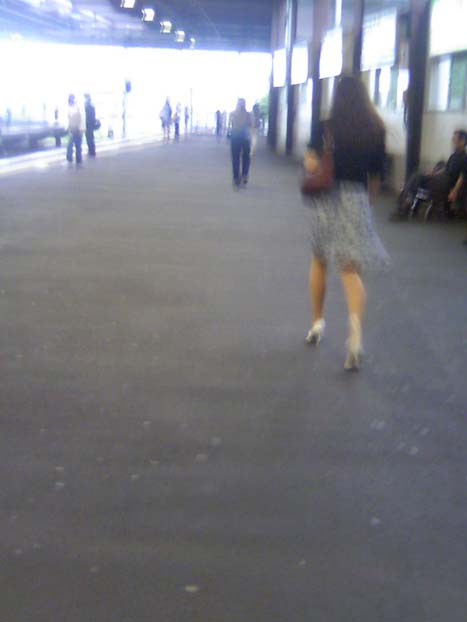 c0083518_8585559.jpg