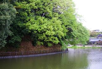 d0144618_1683281.jpg