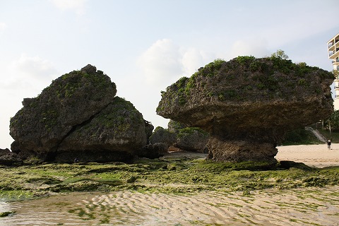f0117618_16114927.jpg