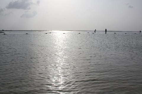 f0117618_16135241.jpg