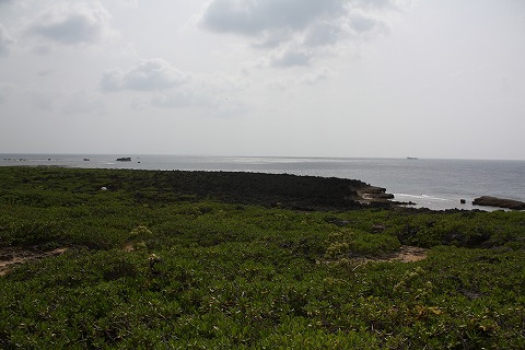 f0117618_1692197.jpg