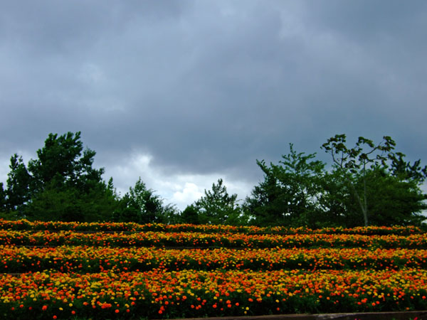f0147025_199215.jpg