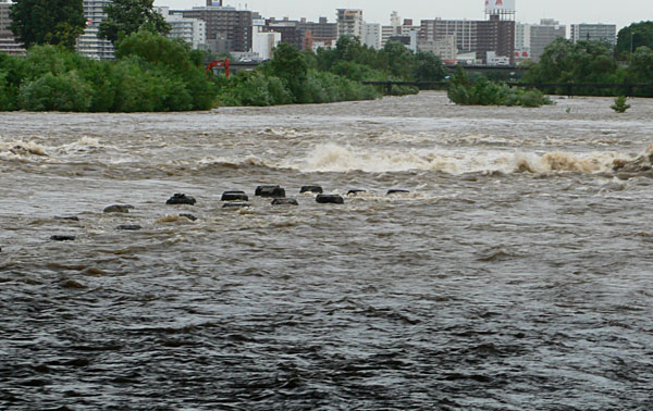 a0046429_0112080.jpg