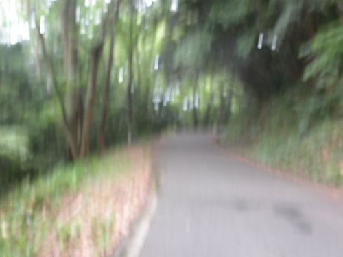 e0166734_1948471.jpg