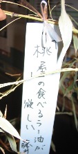 b0136535_1931652.jpg
