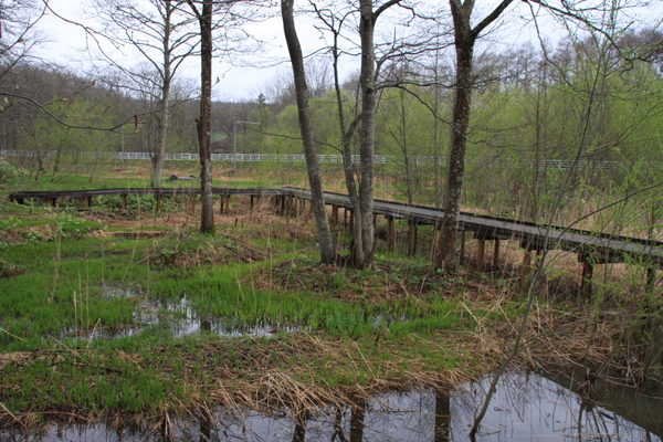 c0174937_1147563.jpg