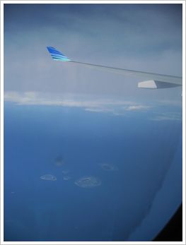 c0148238_1205262.jpg