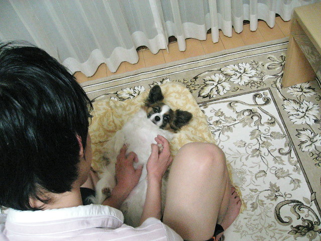 a0149240_813251.jpg