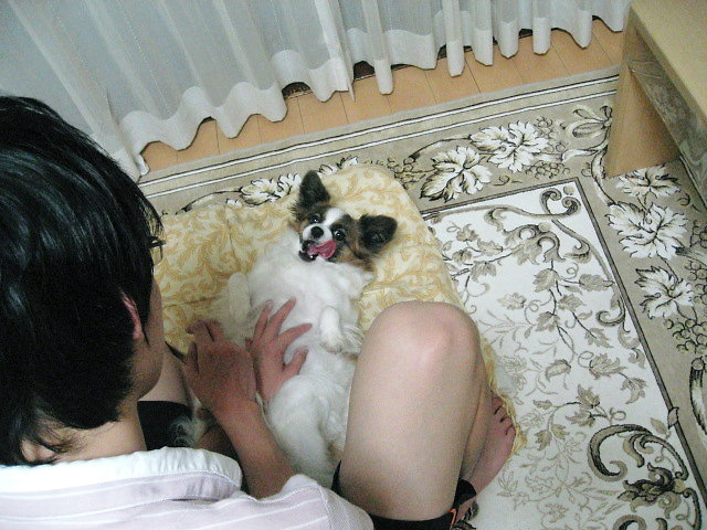 a0149240_8141869.jpg
